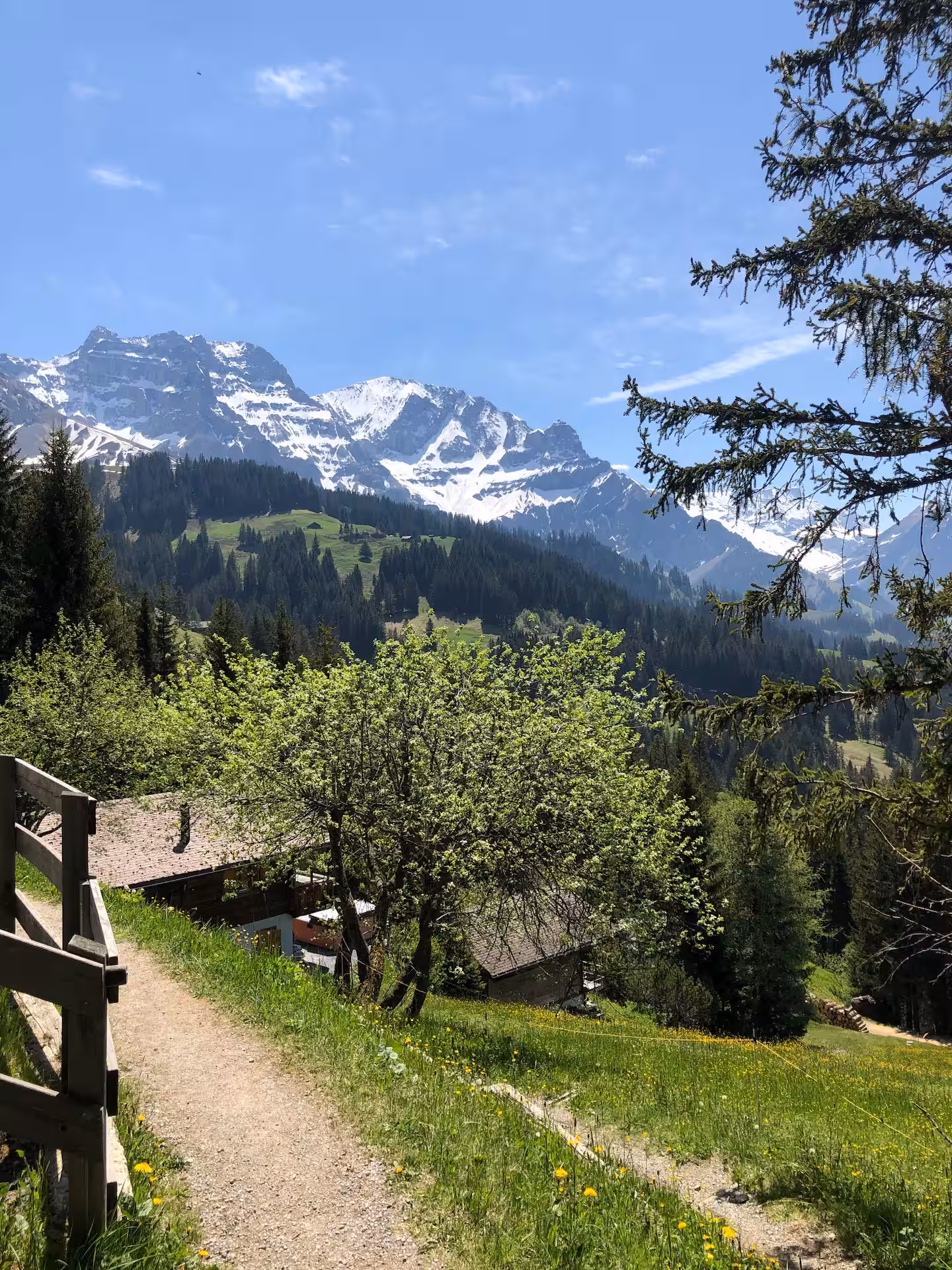 Rückansicht und Weg beim Höchst Chalet